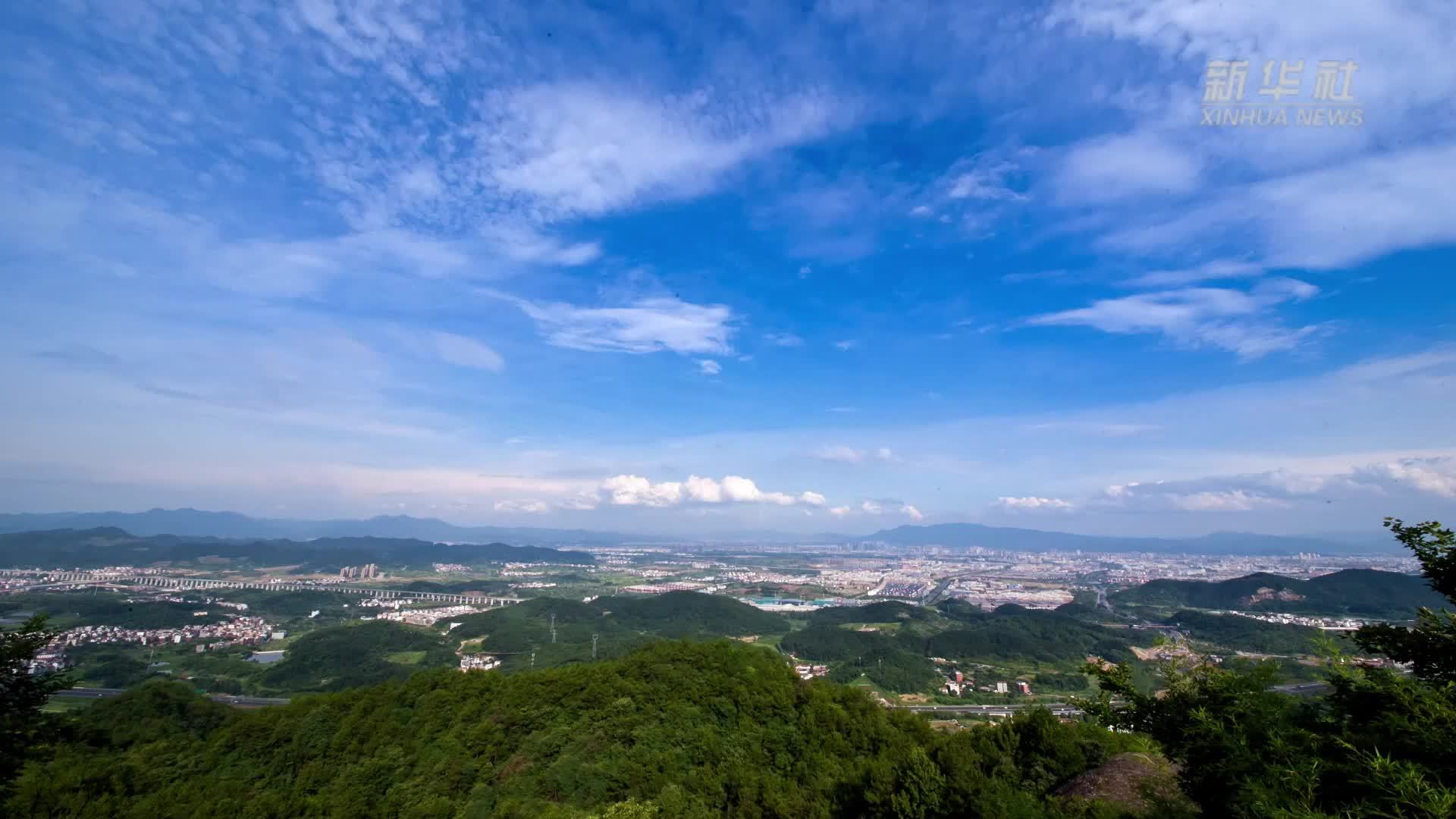 奋力打头阵 阔步走在前——经济大省挑大梁观察