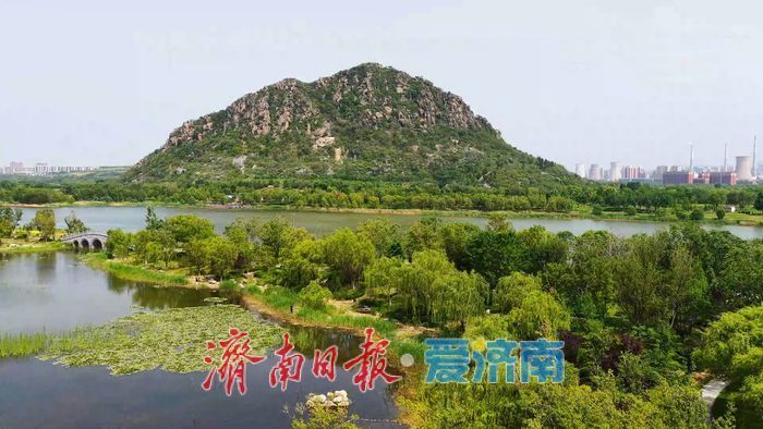 一年四季 泉在济南丨碧波映翠夏意浓！华山历史文化湿地公园“绿境”醉游人