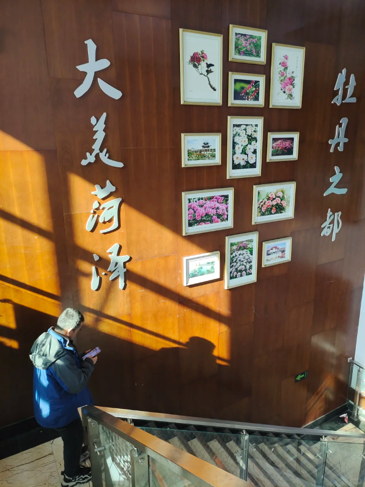 菏泽初夏的味道，都藏在这里