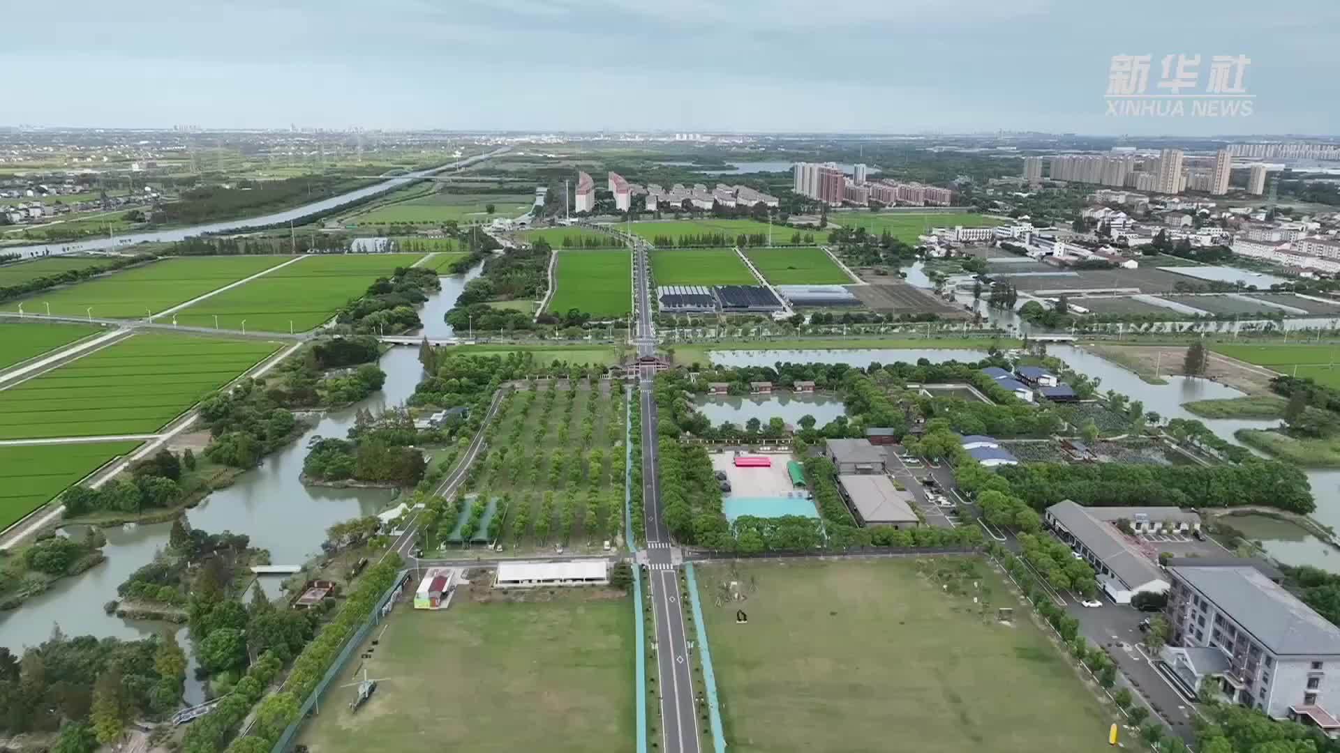 文明的力量丨江苏太仓电站村：奏响金仓湖畔“文明田园曲”