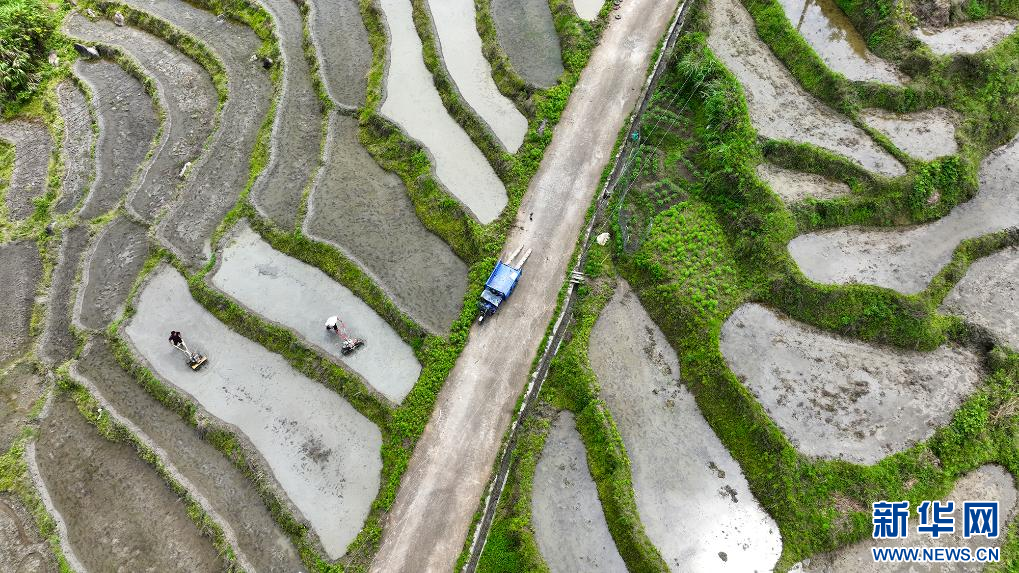 近日，江西省宜春市萬載縣白水鄉老山村高山梯田陸續進入忙碌的耕作期。新華網發 鄧龍華 攝