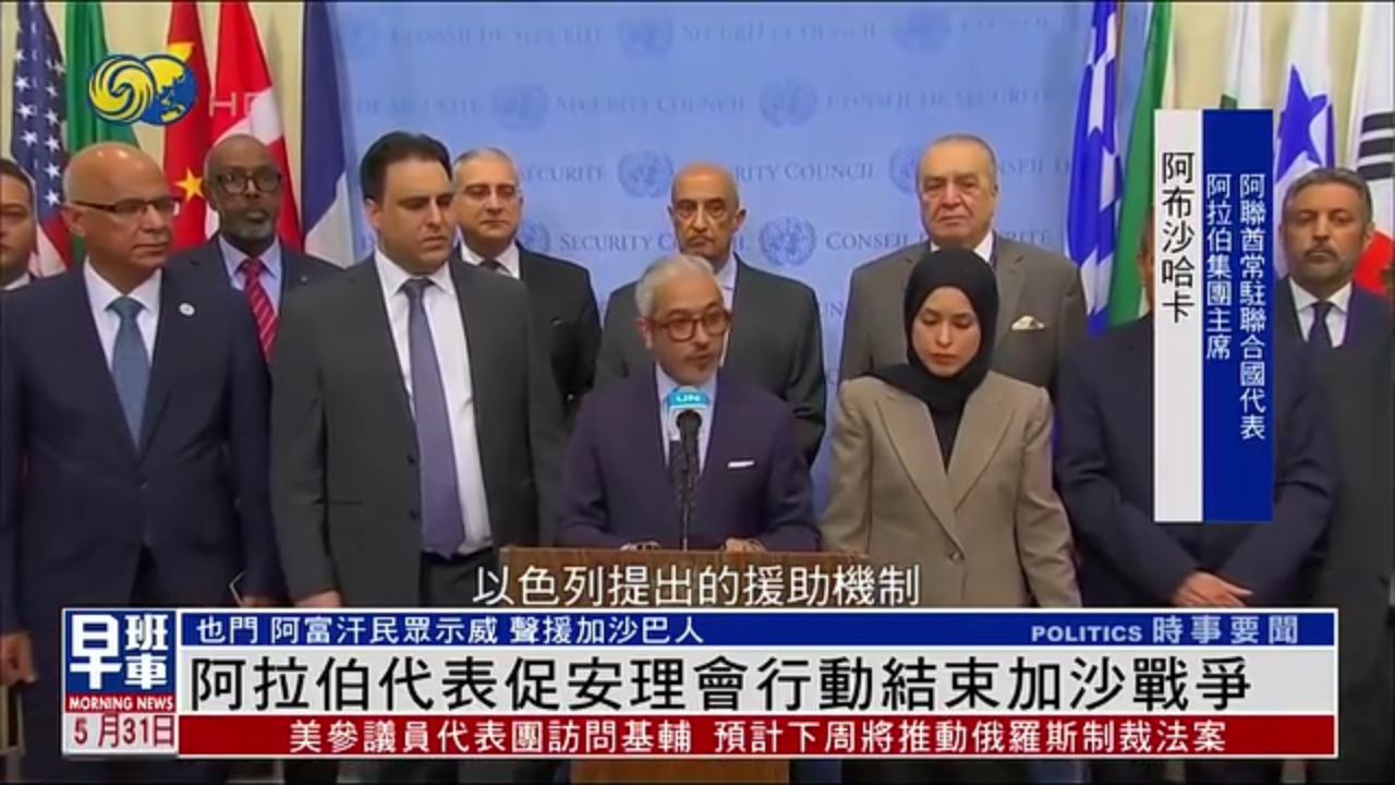 阿拉伯代表促安理会行动结束加沙战争