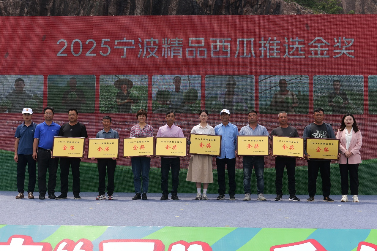 黄瓤还是红瓤？宁波这场西瓜擂台决出了“盛夏顶流”