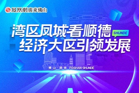 湾区凤城看顺德 经济大区引领发展_凤凰网
