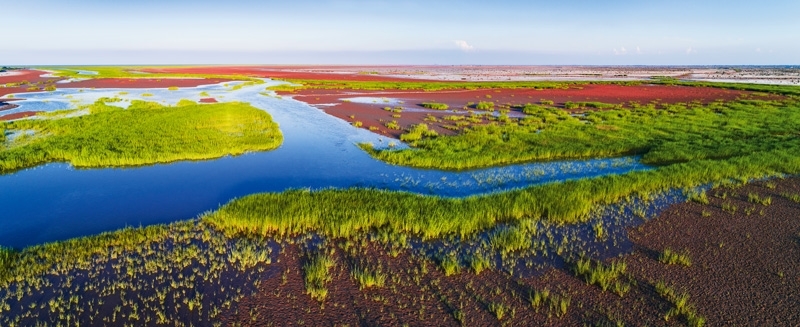 （黄河口生态旅游区一角，图源东营市人民政府官网）