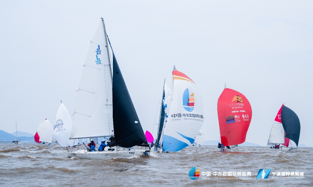 帆竞四洲强敌,中国宁波一号青年队历练中成长
