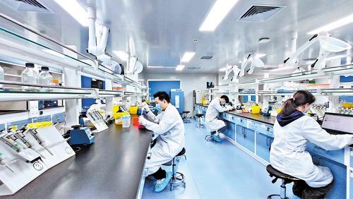近日，在国科赛赋河北医药技术有限公司实验室内，科研人员对创新药物进行试验和检测。 本报记者 刘 英摄