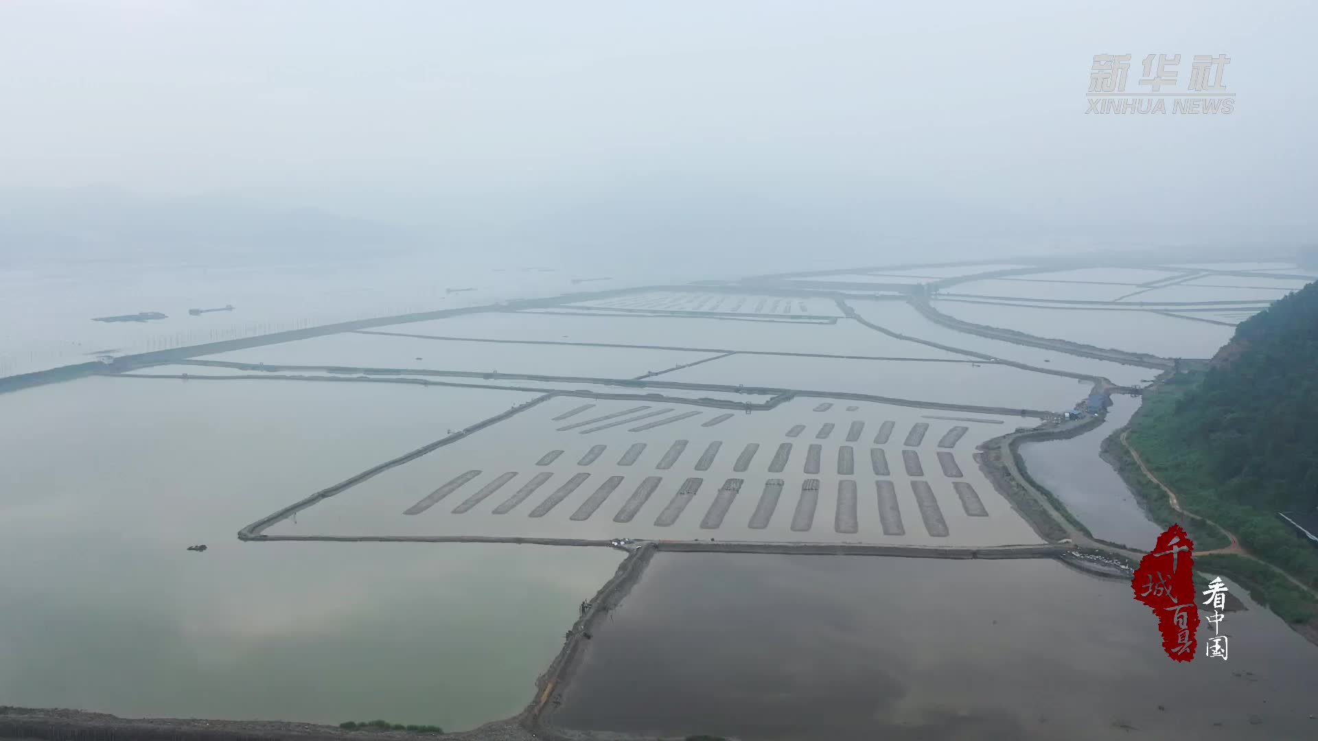千城百县看中国｜福建霞浦：海蛏迎丰收