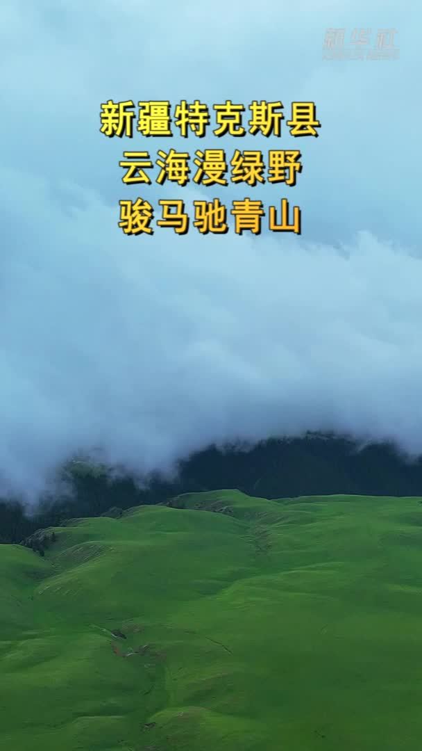 新疆特克斯县：云海漫绿野 骏马驰青山