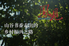 凤见第200期：山谷书香走出的乡村振兴之路
