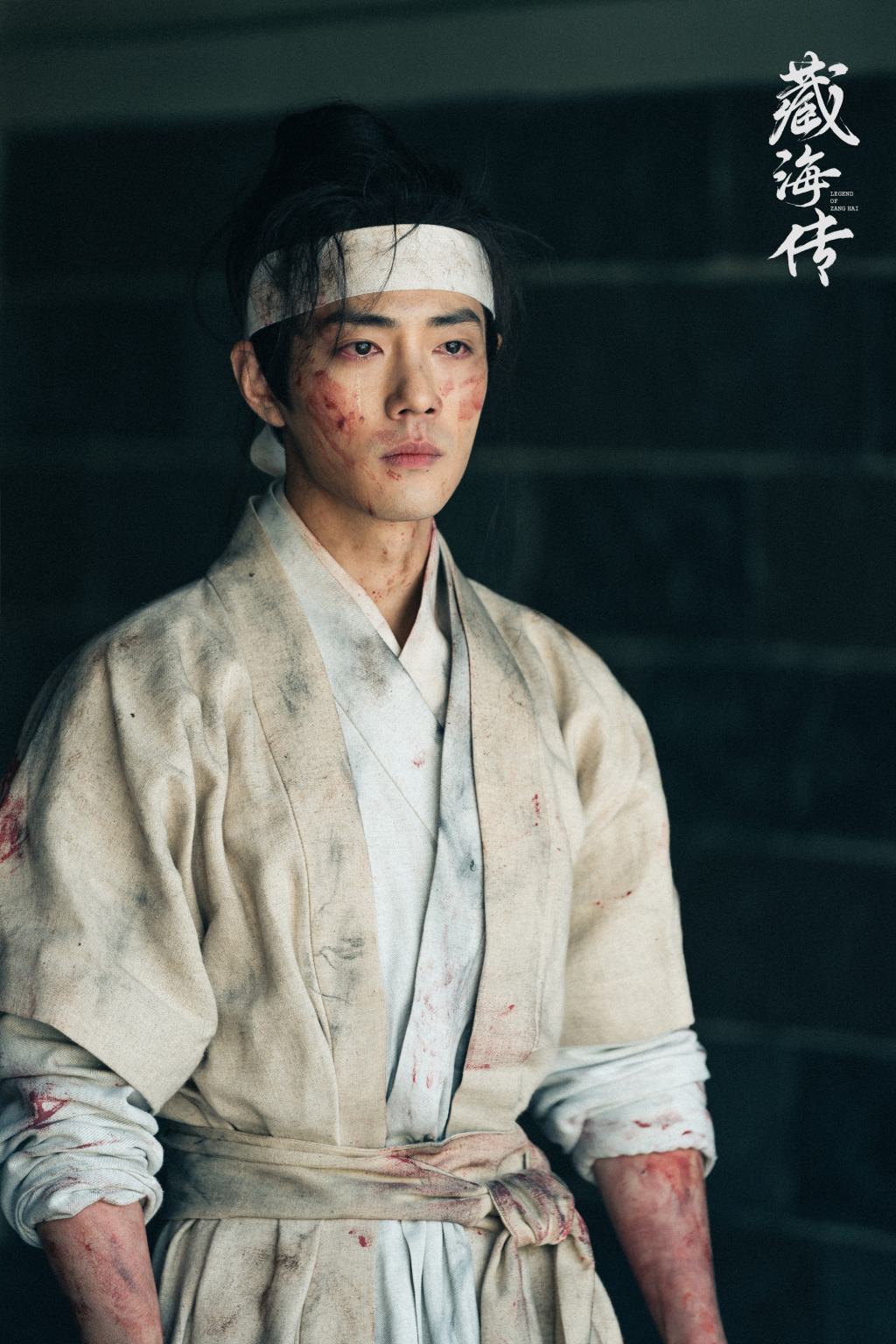 肖战　饰　藏海