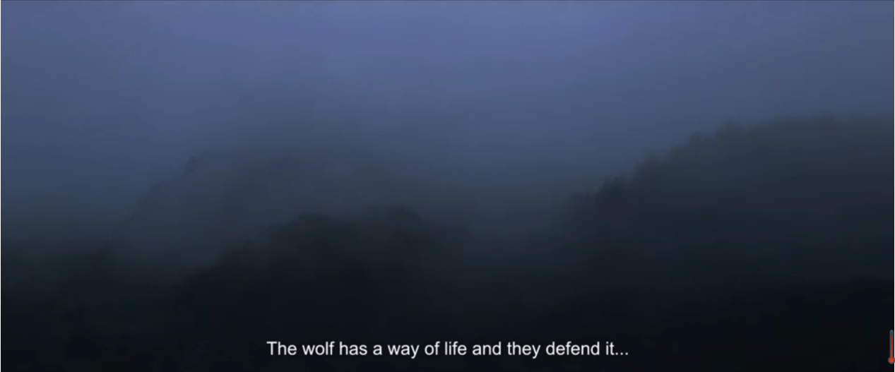 这两部斯莫格奖金奖短片，让奥斯卡评委看到对话与理解的可能