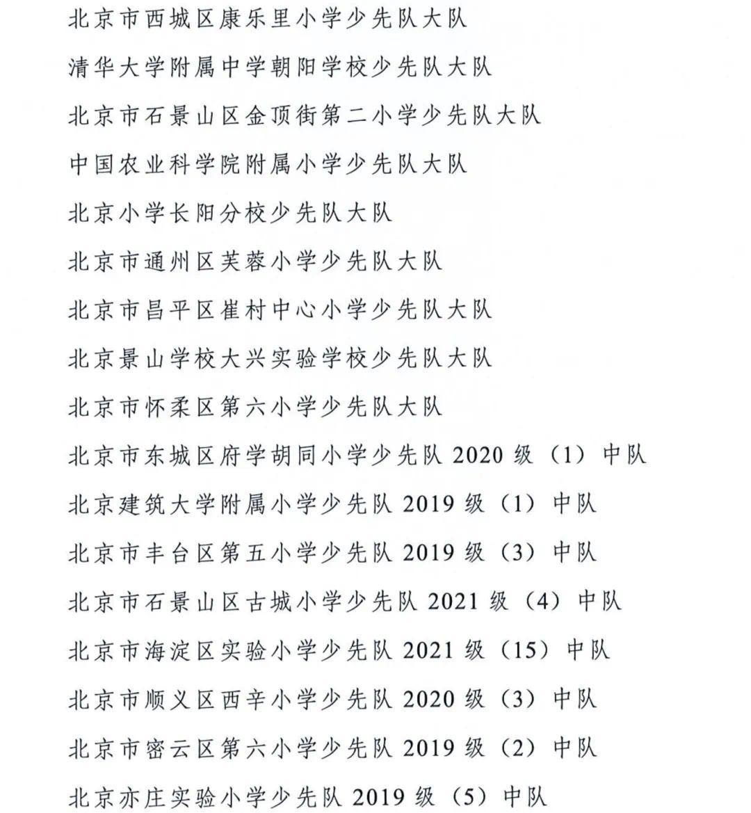 全国少先队“两优秀”表彰决定_29.png