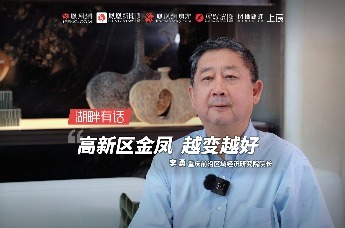 【湖畔有话Ⅱ】对话重庆前沿区域经济研究院院长 李勇 细说好区域 高新区金凤如何越变越好？