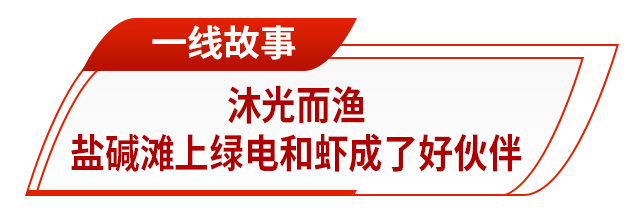 山东：一场绿色变革正重塑发展基因
