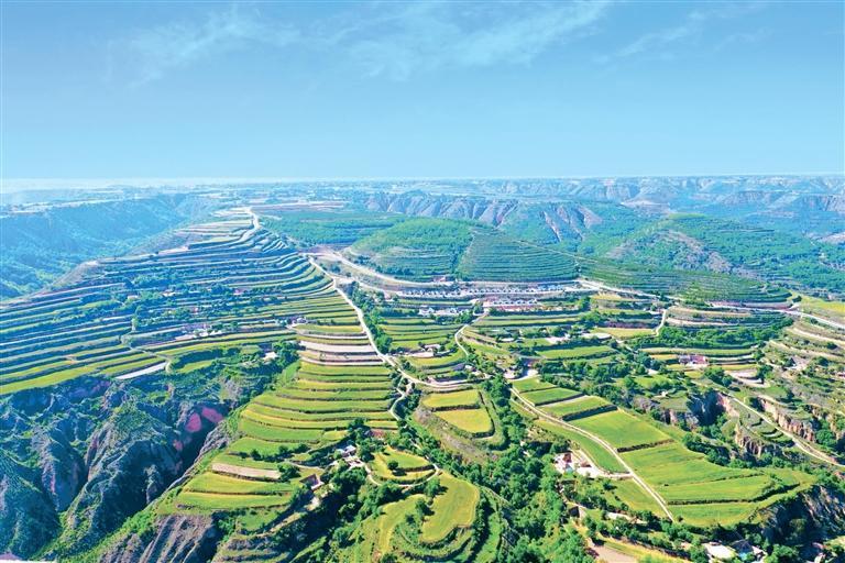 西峰区显胜乡毛寺村梯田美景　新甘肃&middot;甘肃农民报通讯员　温聪聪