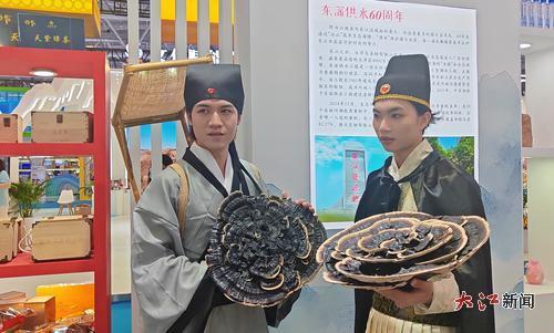 “徐霞客”“鄭和”邂逅靈芝