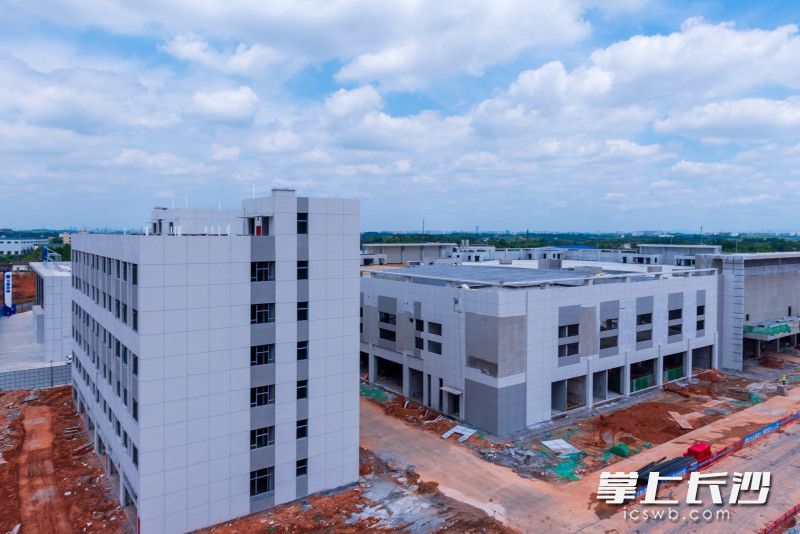 该项目雏形已现。