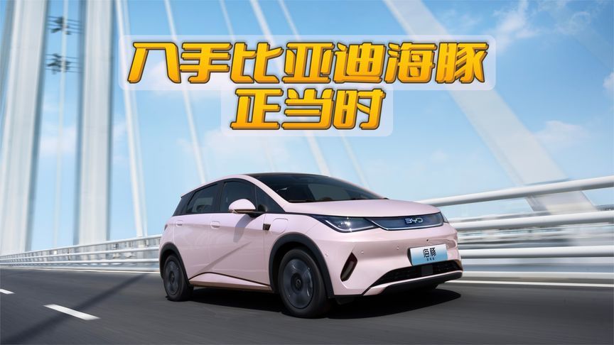 现在入手比亚迪海豚正当时