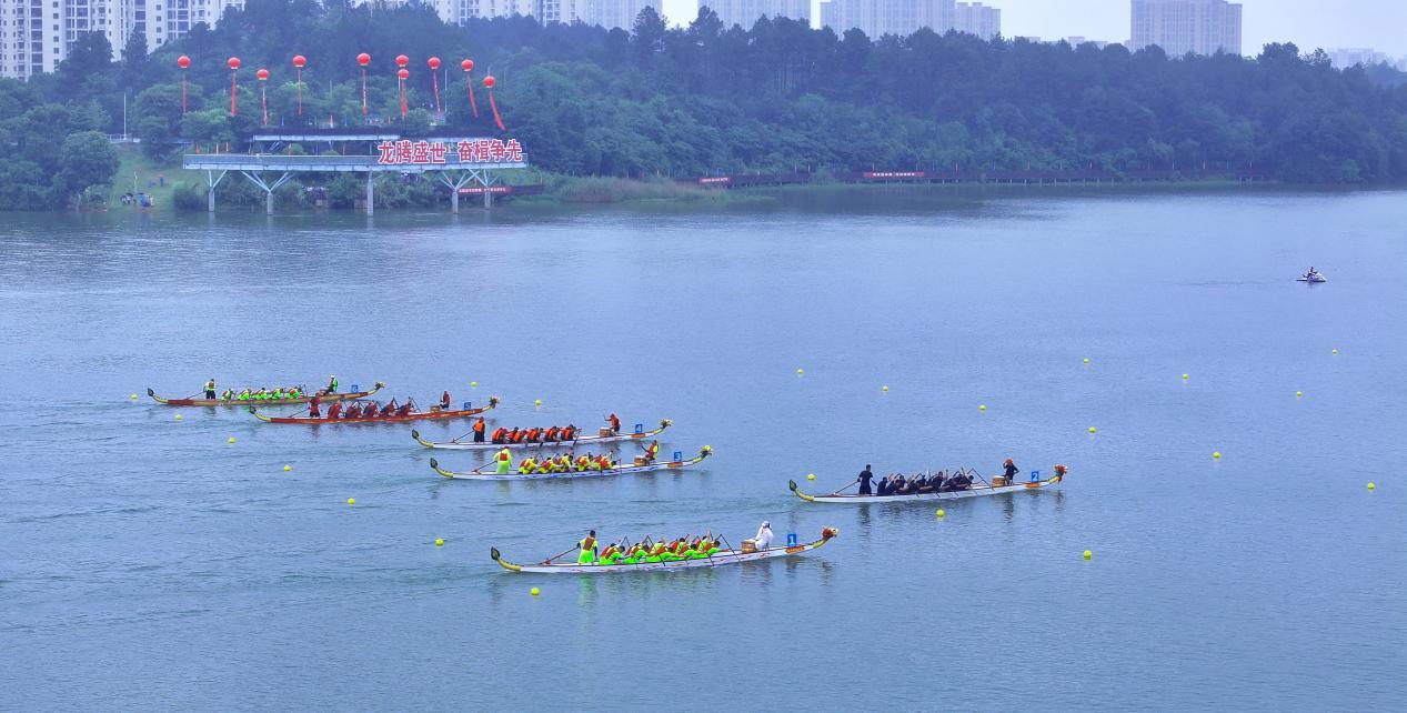 龙舟竞渡。 梁振堂 摄