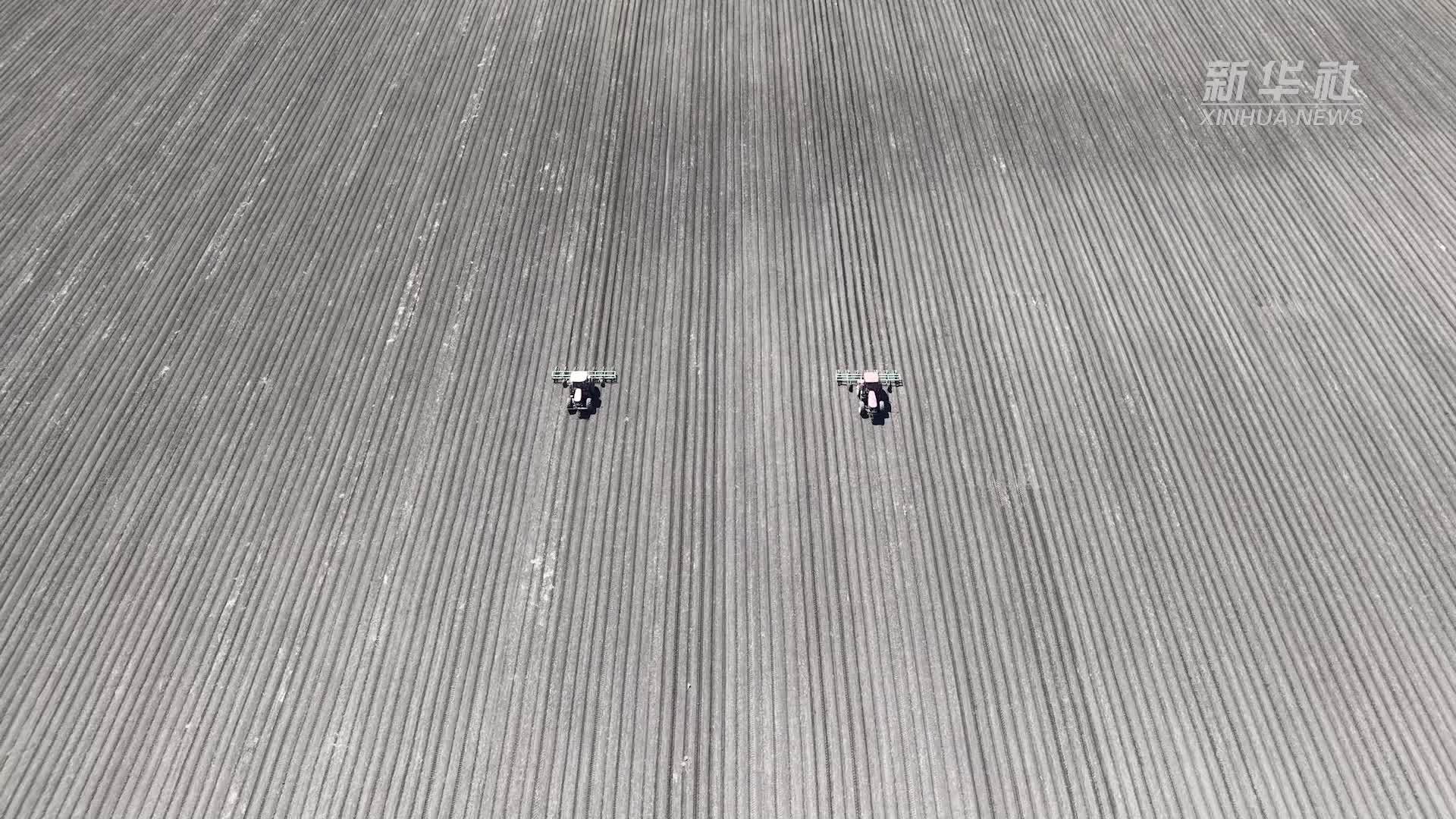 黑龙江：北大荒集团精耕细管促高产