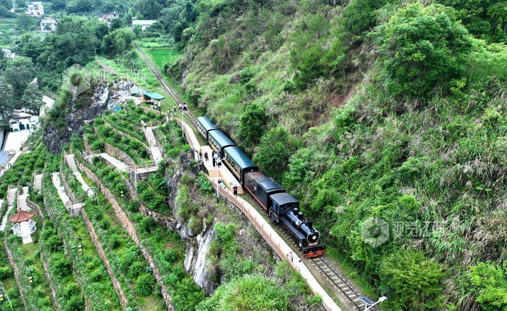 5月26日，在上犹县梅水乡，赣南森林小火车穿梭于青山绿野、田园村落间。赣南森林小火车曾肩负林业运输重任，如今成为乡村旅游亮点。通讯员 李建平摄