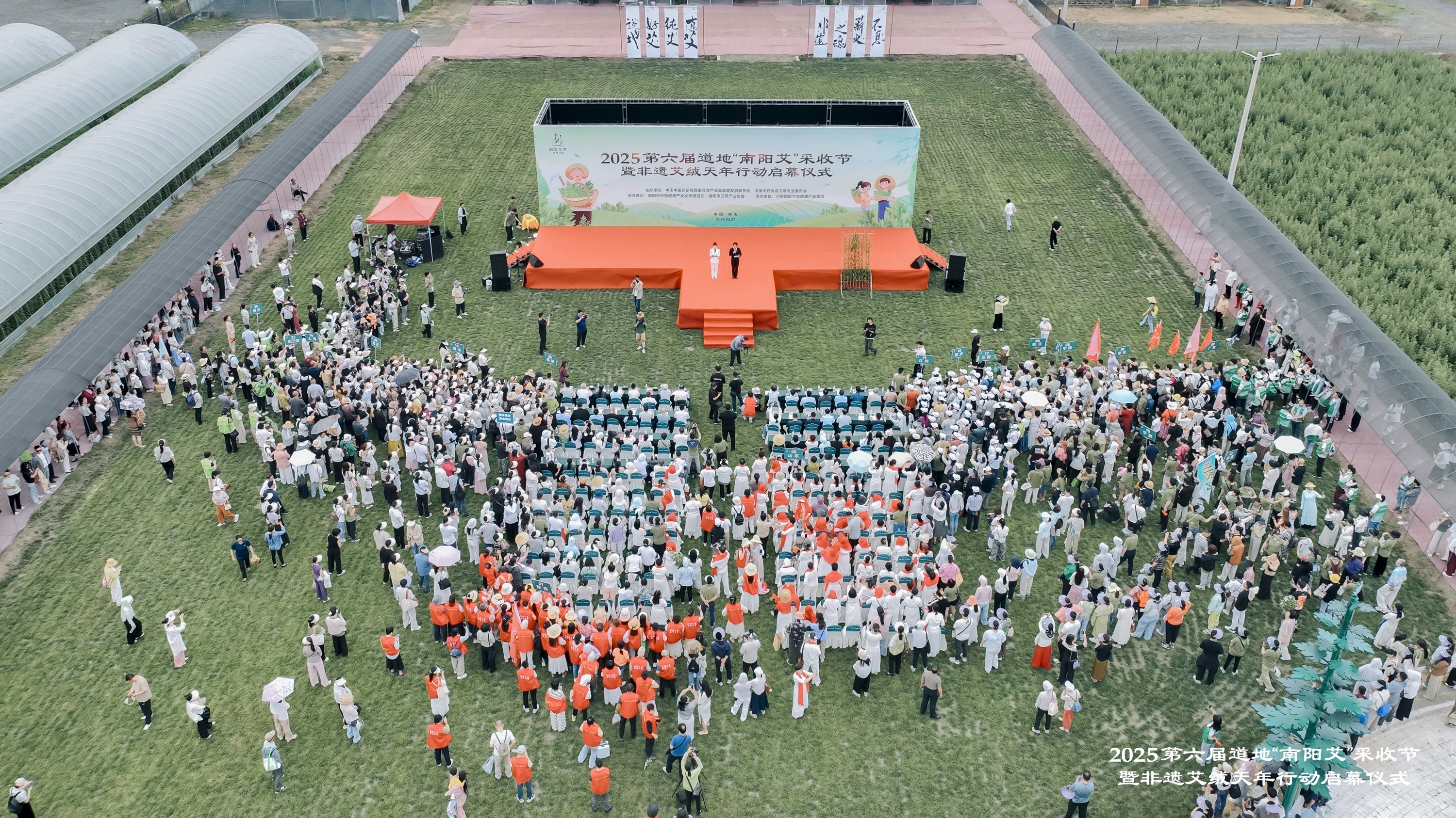 世界艾之鄉，采收萬里香！2025第六屆道地“南陽艾”采收節暨非遺艾絨天年行動啟幕