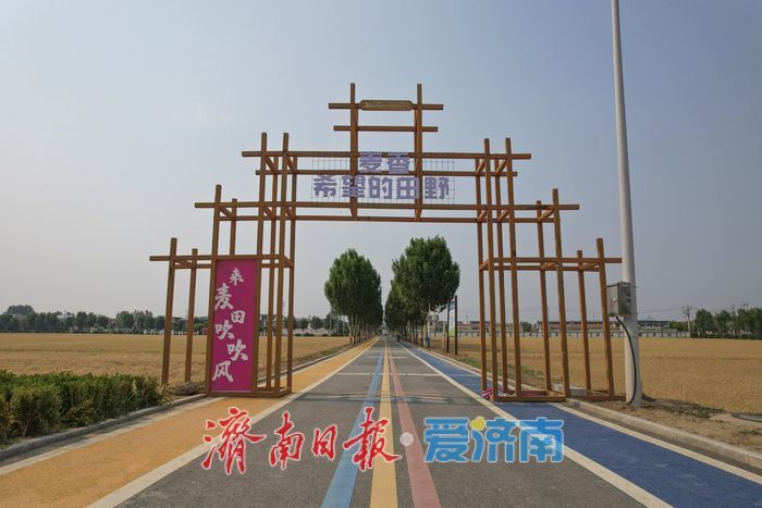 一年四季 泉在济南丨麦浪翻金迎端午