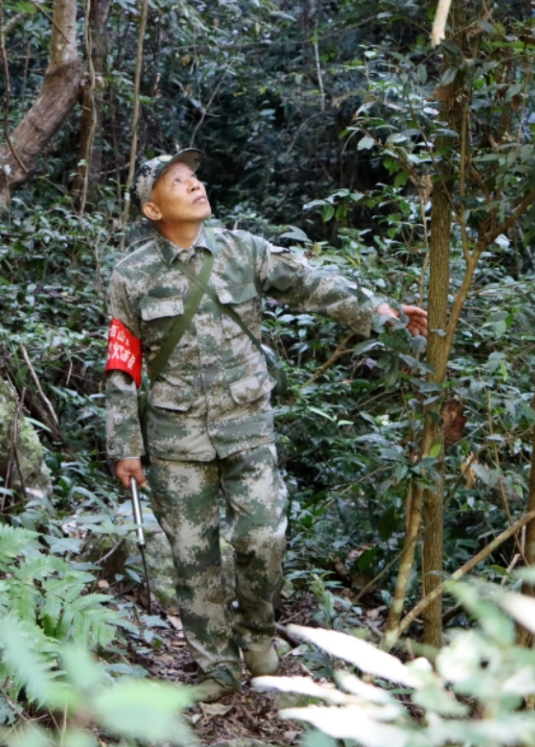 这瓶水如此受文博会青睐，来历真不一般……