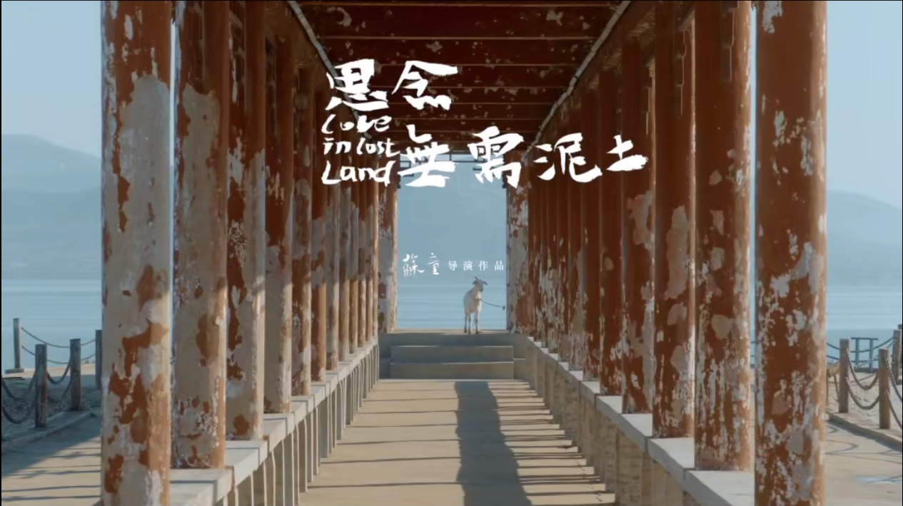 这两部斯莫格奖金奖短片，让奥斯卡评委看到对话与理解的可能