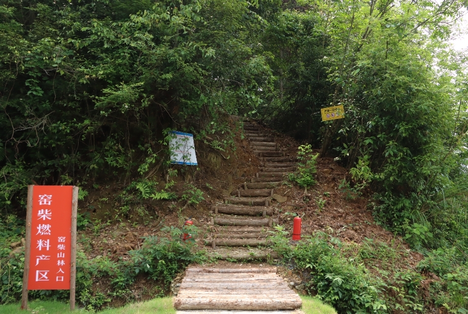 景德镇浮梁县蛟潭镇：在文化遗产保护中绽放时代新韵