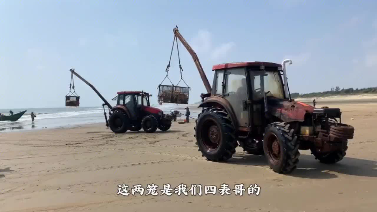 海蜇是如何腌制的，渔小夫带你见识整个加工流程，看完你会吃吗？