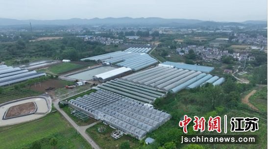 特色农业种植基地。火剑 摄