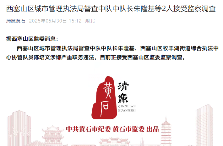 西塞山区城市管理执法局督查中队中队长朱隆基等2人接受监察调查