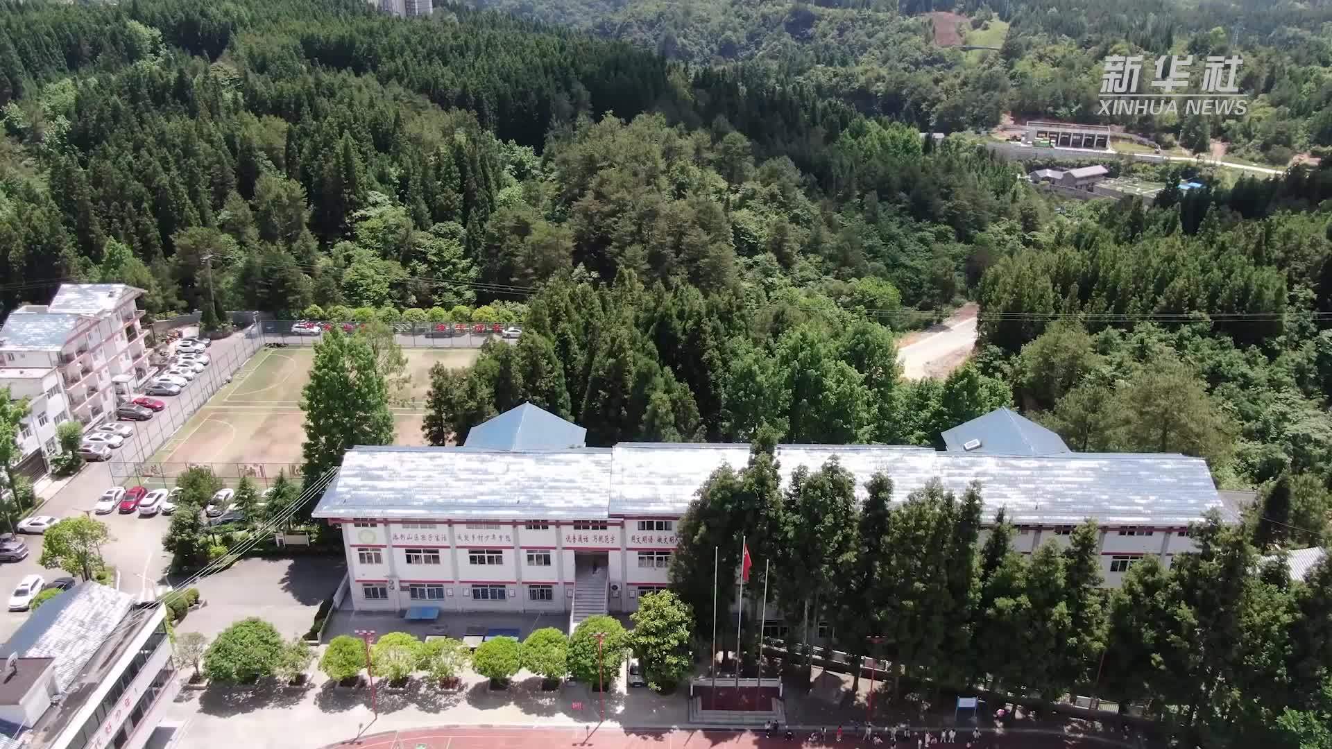 文明的力量丨特色山乡小学飘来中药香