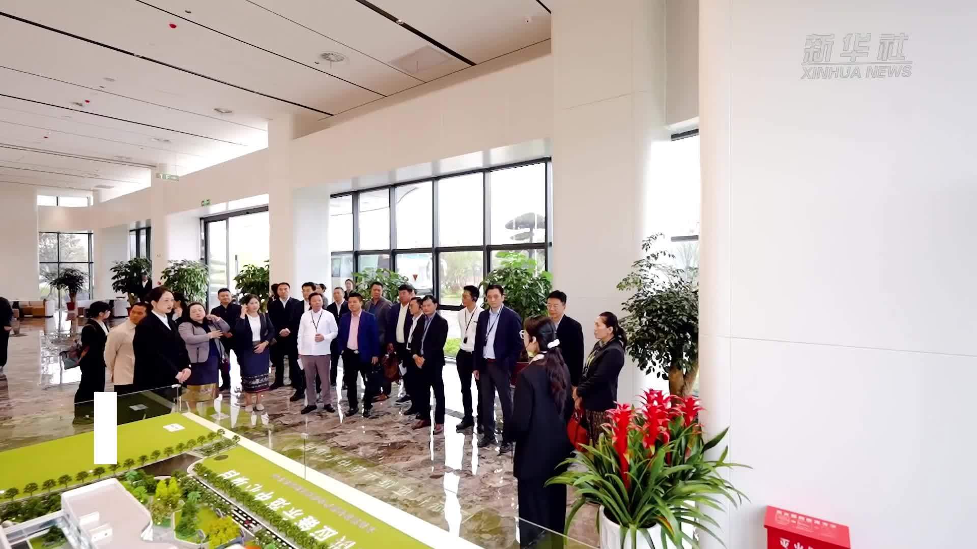 中国-中南半岛多式联运联盟在昆明揭牌