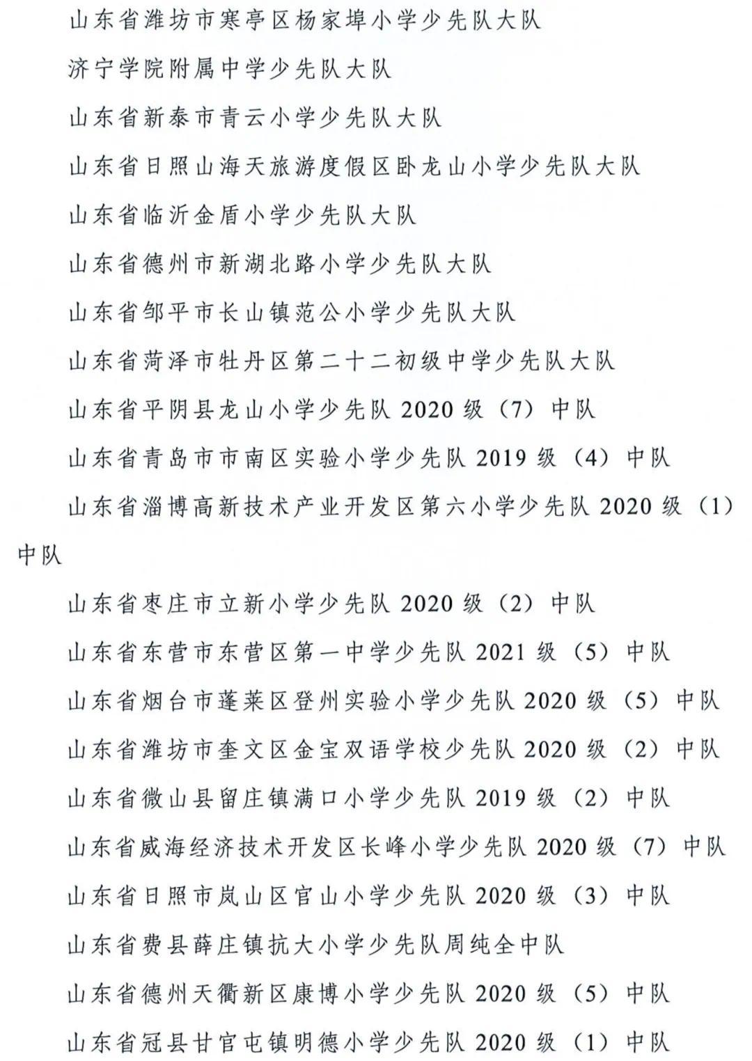 全国少先队“两优秀”表彰决定_41.png