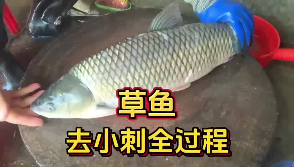 草鱼去刺全过程，你见过这种技术吗？！