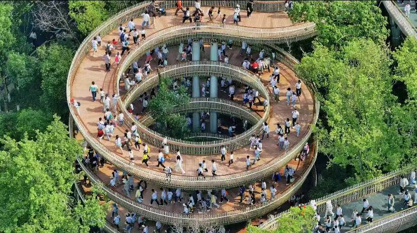 南昌：绿色脉动（图）