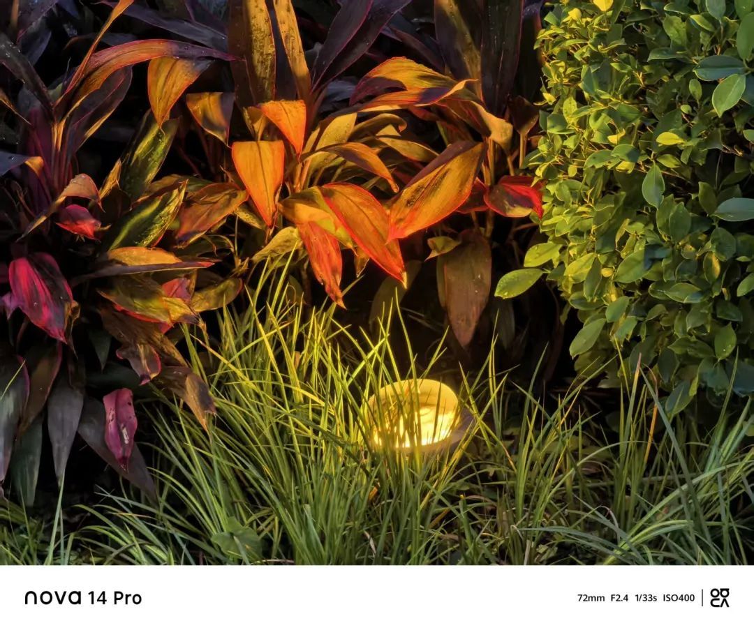 首款鸿蒙直板机,体验太炸裂了