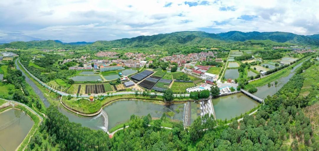 鹤山市鹤城镇五星村 郭永乐 摄