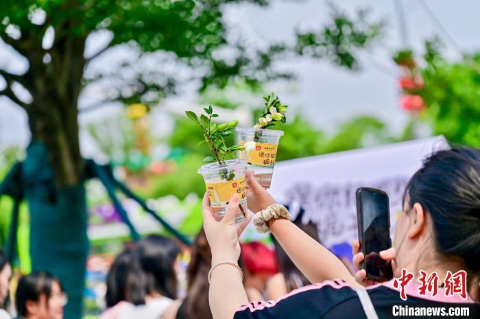 图为在南昌万象城送花点,游客领取栀子花后拍照留念。活动主办方供图