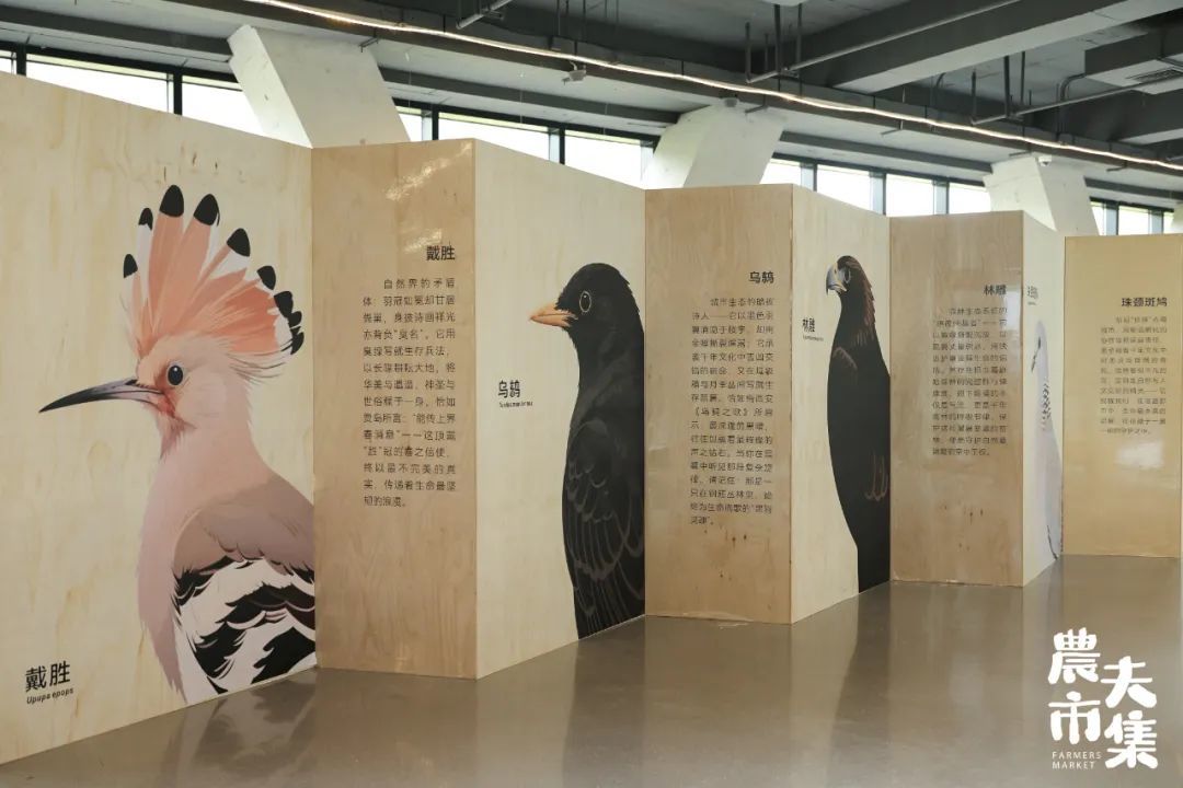 新晋顶流！端午必逛的自然系农夫市集