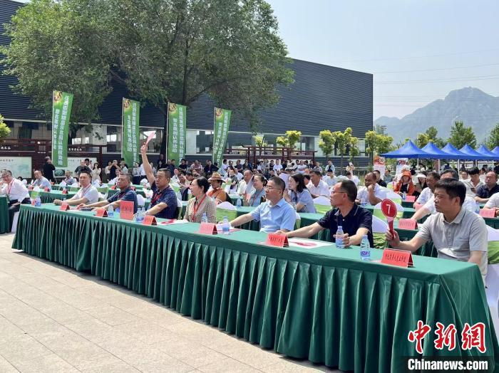 5月29日，企业家正在竞拍迁西板栗精品示范园认购权。　　董皓楠 摄