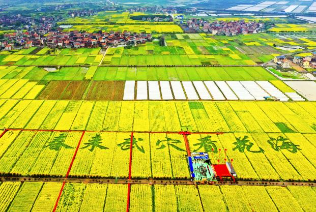 6月2日-3日，黄冈“食卷”来啦！ —-鄂东文化+大别山特色农副产品，宁波鼓楼沿一站式体验！