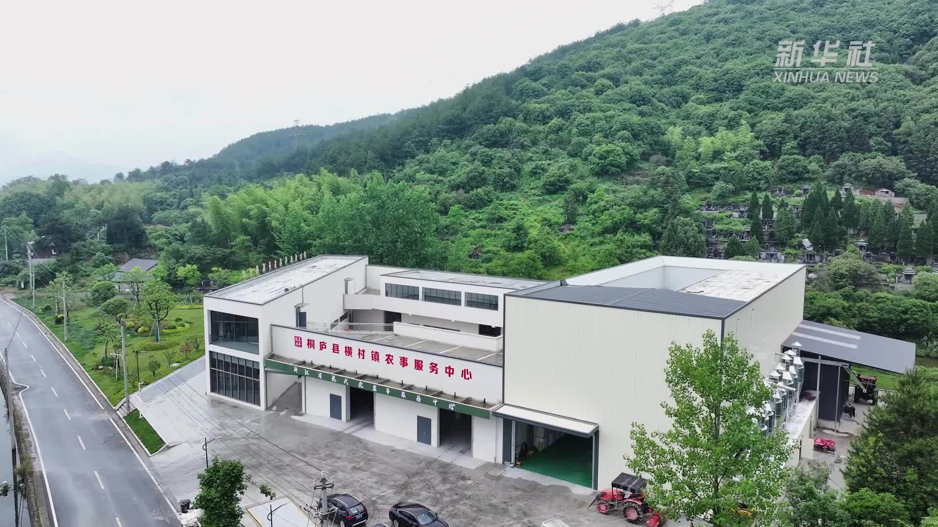 杭州桐庐：科技赋能水稻育秧提质增效