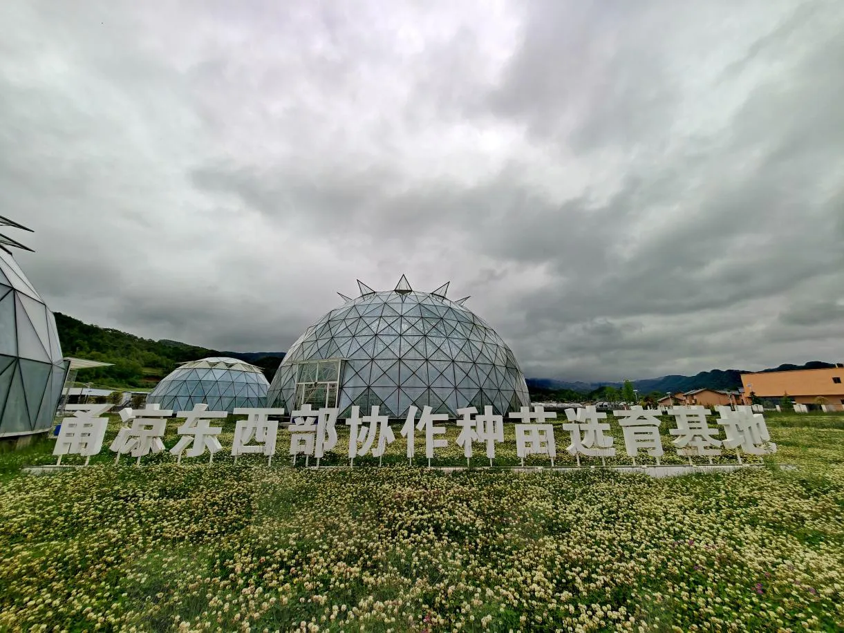 草莓幼苗“住”进智能“别墅”,余姚—昭觉协作助力增产又增收