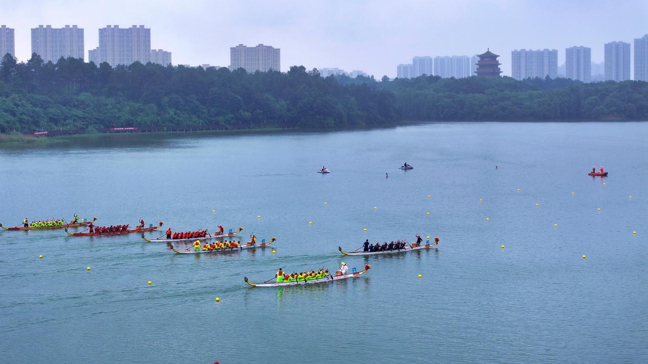 龙舟竞渡庆端午。梁振堂 摄