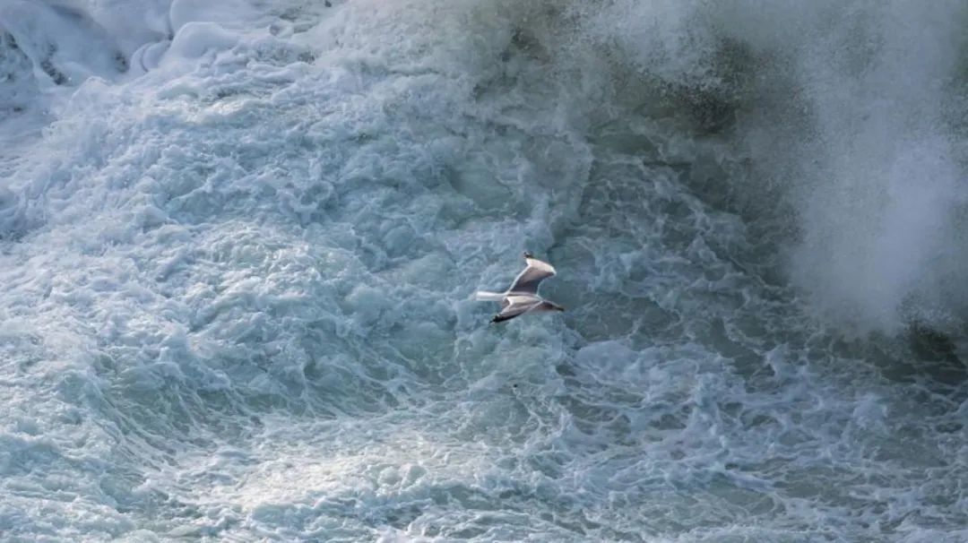 减收又减利,爱奇艺的逆风局不好打