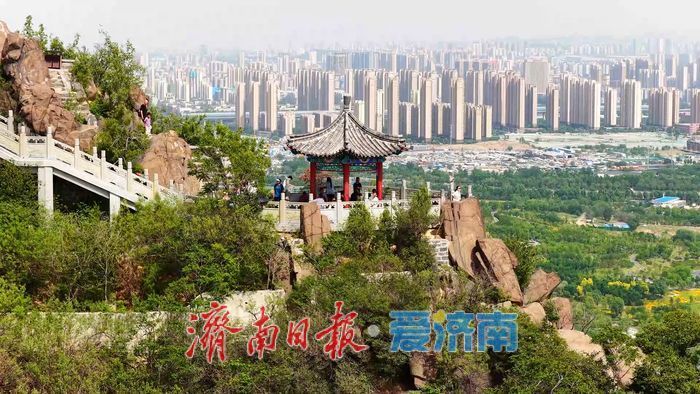 一年四季 泉在济南丨碧波映翠夏意浓！华山历史文化湿地公园“绿境”醉游人